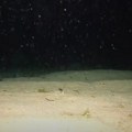 (Video): Grk ispustio kameru sa kruzera u okean, evo šta je ona zabeležila: "Bolje ne skačite u vodu noću"