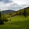 I NP Tara postaje društvo sa ograničenom odgovornošću