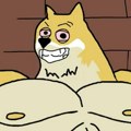 Meme kriptovaluta Maxi Doge brzo sakupila 800.000$ – Sledeća stanica je 1.000x da skine Dogecoin sa trona