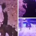 Хорор снимак из Београда дигао и Аустрију на ноге: Баца куче у шуми усред ноћи као да је смеће!