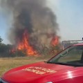 VIDEO: U Novom Sadu i okolini pojačana kontrola zbog požara, muškarac u Kamenici zatečen kako pali vatru