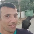 Vatrogasac pronašao čavku sa slomljenim krilom i pomogao joj da ozdravi: Ono što je uradila nakon oporavka sve ostavilo u…
