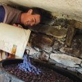 Završio fakultet, napustio sve i otišao da živi na selu Sada čuva ovce i pravi domaću rakiju u svom dvorištu: Pogledajte…