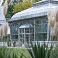 U Botaničkoj bašti „Jevremovac“ za vikend gastro-mužička manifestacija