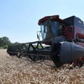 Pšenica na Produktnoj berzi u Novom Sadu poskupela oko 11 odsto