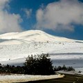 Zimska idila! Na Zlatiboru do sredine januara pada sneg: Samo ova 2 dana neće biti padavina, a evo kakva je temperatura