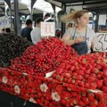 Voćari tvrde da su na granici egzistencije: Ovogodišnji rod jagode, maline i višnje slab, a otkupne cene ponovo niske