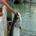 Odličan snimatelj, ne baš dobar roditelj: Otac ushićen pošto je snimio ćerkinu ruku do lakta u čeljustima ribe