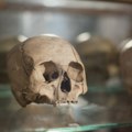 Rešena misterija vitrine sa ljudskim kostima starim više od hiljadu godina FOTO
