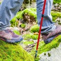 Pronađeni ostaci nestalog planinara! Horor u američkoj "zemlji medveda", spasioci zatekli zastrašujuć prizor - ubila ga…
