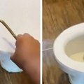 Kad je video šta su izvukli iz WC šolje, gost hotela doslovno zanemeo: Ovo je prava noćna mora!