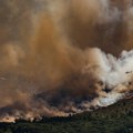 Raste broj mrtvih, vatrena oluja kosi sve pred sobom! Hitno se oglasio premijer, kreće puna mobilizacija: Evropska zemlja…