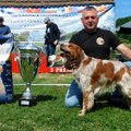 Najlepši je breton kleo: Četvrta međunarodna izložba pasa svih rasa u Gornjoj Koviljači (foto)