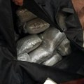 Pronađeno oko 50 kila marihuane u kući na Busijama dvojica muškaraca uhapšena zbog trgovine drogom (foto)