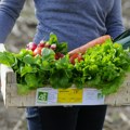 Izazovi organske proizvodnje: U EU oko 10 odsto poljoprivrednog zemljišta pod organskim usevima, u Srbiji oko 1 odsto