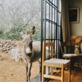Farm House ili filozofija uzvišene jednostavnosti
