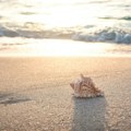 Hitno zatvaranje raja za turiste Popularna plaža pod ključem zbog opasne bakterije u moru