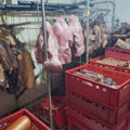 Nije poštovao mere suzbijanja afričke kuge: Uhapšen proizvođač svinjskog mesa kod Sremske Mitrovice