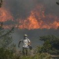 Samo u julu u Grčkoj izbilo sedam velikih požara, izgorelo 470.000 hektara