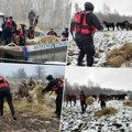 Još nisu evakuisane sve životinje s krčedinske ade Goveda na broju ali konje ne mogu da pohvataju, kao za inat desio se ovaj…