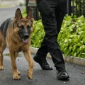Bajdenov pas ne prestaje da pravi haos u beloj kući: Izujedao agenta tajne službe najmanje 24 puta