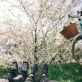 Dnevni horoskop za 22. maj 2025. godine