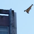 Krvava operacije ruske mornarice! Izvidnica otkrila ukrajinske vojnike u napuštenim kućama, a onda je počela kanonada!