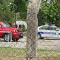 Prve slike sa mesta požara na Bežanijskoj Kosi: Svi psi spaseni iz bokseva, vatrogasci i dalje na terenu