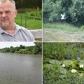 (Video) „dnevnik” u poseti specijalnom rezervatu prirode „Ritovi donjeg Potisja” Divlja mačka rado viđen gost