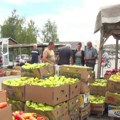 Voće i povrće na Kvantaškoj pijaci bezbedno za ishranu