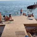 Neobično stvorenje pojavilo se na plaži u Sutomoru: Upućeno hitno upozorenje, ne dirajte je ni kada je na obali