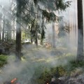 Šumski požari u Francuskoj progutali više od 42.000 hektara šuma