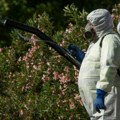U Grčkoj raste broj zaraženih virusom Zapadnog Nila