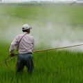 Gotovo polovina poljoprivrednika u svetu doživi trovanje pesticidima