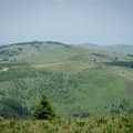 Od danas obavezne zelene javne nabavke: Šta je tačno predviđeno ovim zakonom