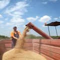 Prva nedelja aprila na Produktnoj berzi u znaku pšenice: Evo kako se trgovalo i po kojim cenama