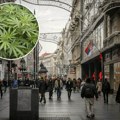 Legalizacija marihuane u Srbiji: Hoće li oboleli od teških bolesti moći da je koriste u lečenju?