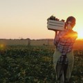 Italijanski ministar: Regulacije EU za poljoprivrednike pogoduju Holandiji