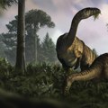 Kako su dinosaurusi nadmašili konkurenciju: Nova studija otkriva malo poznate detalje o ovim životinjama