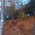 Incident u Berilju, reagovala policija