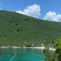 Ovo se ne viđa često! U Kotoru iz mora izvučena izuzetno retka "živuljka", ovako lep prizor mami osmehe