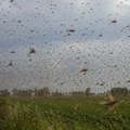 Pošast biblijskih razmera prekrila Rusiju! Nebo se zacrnelo, snimcak ledi krv u žilama
