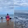 Stravičan prizor na rajskoj plaži! Snimak jata riba preplavio mreže, meštani imaju mračno verovanje (video)