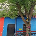 "Otpor podzemlja" u subotu u Crnoj kući