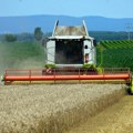 Egipat zainteresovan za uvoz srpskih žitarica, suncokretovog ulja i drugih poljoprivrednih proizvoda