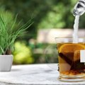 Nova studija otkriva: Stevija bi mogla da se koristi kao lek protiv raka?