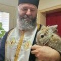 "Zaboravite na uskršnjeg zeku za vreme Vaskrsa": Otac Predrag Popović otkrio surovu istinu o zecu koji nema veze sa…