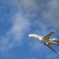 Masovna tuča putnika u avionu, pilot morao prinudno da sleti