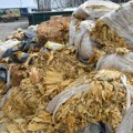 Uništeno više tona zaplenjenog duvana, cigareta i snus pakovanja