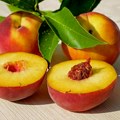 Štiti vašu kožu, oči i srce, utiče na imunitet i pomaže pri mršavljenju Evo koje voće bi trebali češće konzumirati